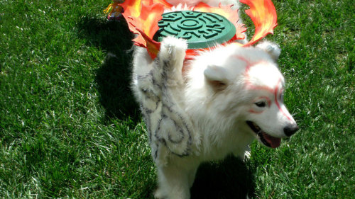 weaboostories:  jorgieboy:  themantablog:  This made my day so much!  AAAHH! :D I couldn’t stop my wide giant smile from fading!  Real Amaterasu from Ōkami!  This is the best!  Look at him smiling!!!Found on Kotaku: ‘Meet a Dog That’s Blissfully