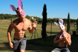 Toscana Bunnies - Tuscany, Italy - 2011 - Alexander Guerra  The Rabbit&Amp;Rsquo;S