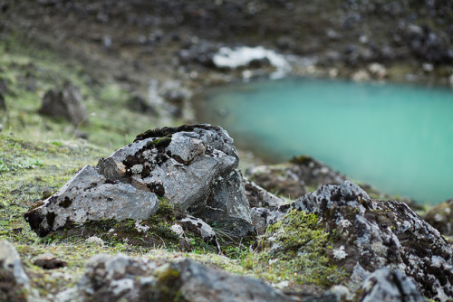 treechills: Iceland by m’sieur rico on Flickr.