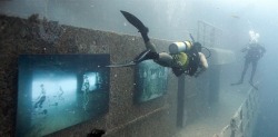 photojojo:  Austrian artist Andreas Franke, an avid diver and professional photographer, has put up a photo exhibition at a depth of 93 feet on the Vandenberg shipwreck off Key West. Underwater Photo Exhibition at Artificial Reef in Florida Keys 