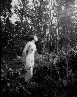 8x10_Pinhole_#02_by_Arealitystudios