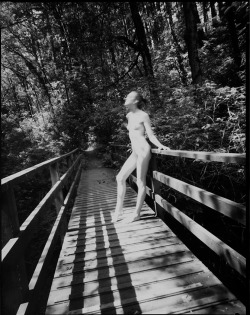 8x10_Pinhole_#03_by_Arealitystudios