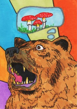 fuckyeahpsychedelics:  “Bear Trip” 