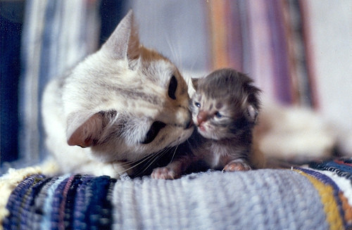 justforsmiles:Aw :D