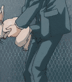 scrotumcoat