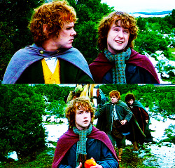 filmtrivia:  When Pippin is being hit with the apples after asking about second breakfast, it is Viggo Mortensen himself chucking the apple at his head. They had to shoot the scene 16 times to get it just right, and Billy Boyd says he believes Mortensen