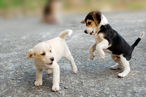 som3thingrandom:  :) check this photography BLOG 