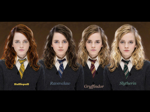 feinideas:  warupe:  Alternate Hermione.  amazedface 