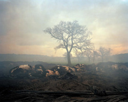 untitled photo by Clive Landen, The Abyss