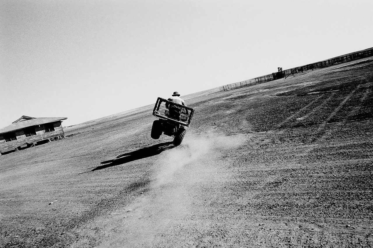 untitled, Queensland Outback, Australia photo by Trent Parke, 2003