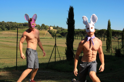 Toscana Bunnies - Tuscany, Italy 2011 - Alexander Guerra The Bunnies that “Work” the Vineyard :) 