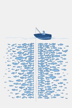  “There’s plenty of fish in the sea..”