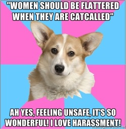 criticalfeministcorgi:  [Image description: head of a corgi on alternating pink and blue background. Text above reads “‘Women should be flattered when they are catcalled’”. Bottom text reads “Ah yes, feeling unsafe, it’s so wonderful! i love