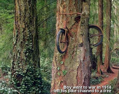 beautilation:   A boy left his bike chained to a tree when he went away to war in