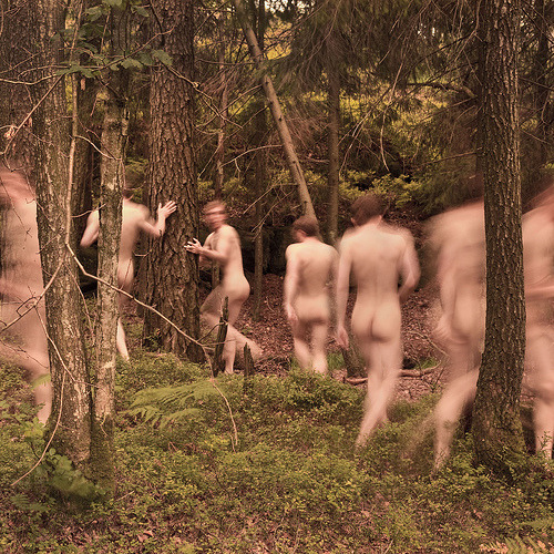 grundvold:  flickr | tumblr | twitter 