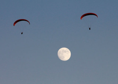 inothernews:  PAREIDOLIA FOR THE COURSE   Paragliders sail in the sky over Tehachapi, California,  (Photo: Mike Blake / Reuters via the Telegraph) 