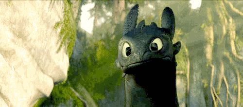 jotunsbane:  thesweetetsthing:  Me EN CAN TA!!!! how to train your dragon  Chimuelo !!!!