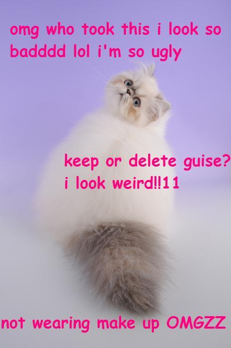 lulz-time:  My lovely followers, please follow this blog immediately!