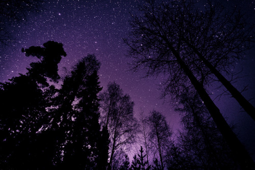 motion-of-the-stars:  Wonders of Nature by neatmummy on Flickr. 