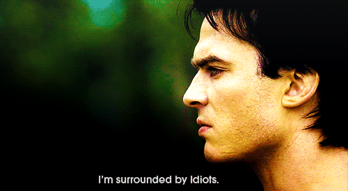 The Best of Tumblr Blog - 1000notes.com