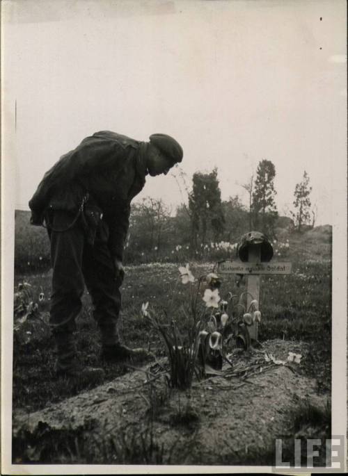 dogatemytank: 1945 A grave of a British paratrooper killed during the Battle of Arnhem (September 19