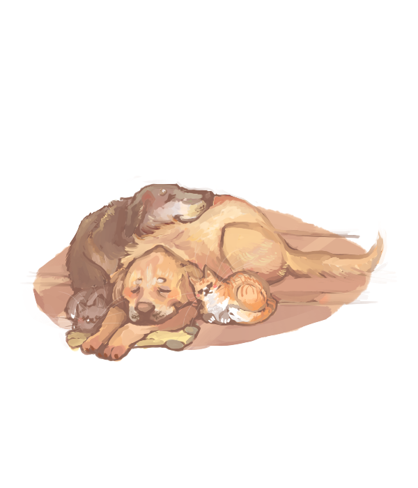 yummytomatoes:  A picture of all my pets.It’s a picture for my mother, who took