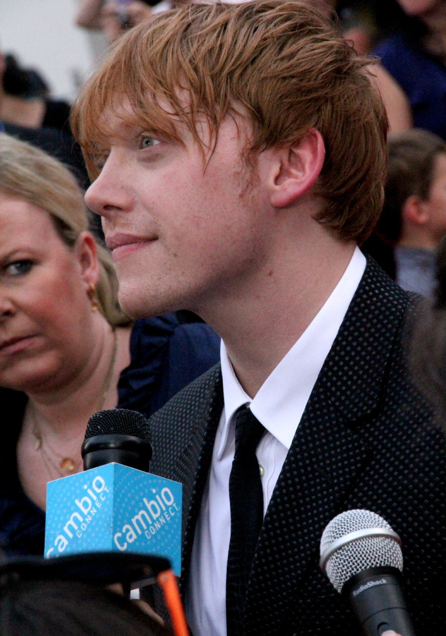 joellamarano:  grupertscoop:  Best profile in the world. your argument is invalid.