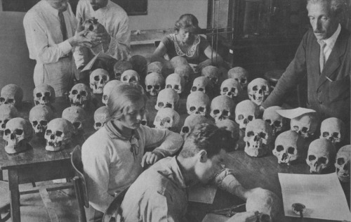Moscow University Museum of Anthropology 