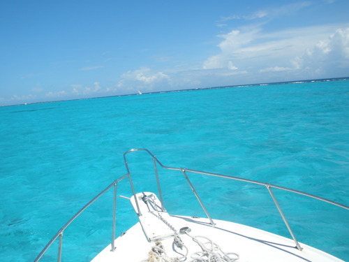 mangokiddos:  blue-w-a-t-e-r-s:  ☮☮☮  ✺☯active tropical blog!✺☯ 