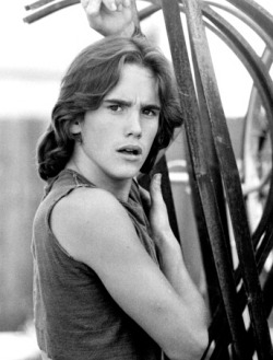 mitsudrarry:  Matt Dillon and his eyebrows