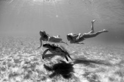 billabong-girls-australia:  By Morgan Maassen. 