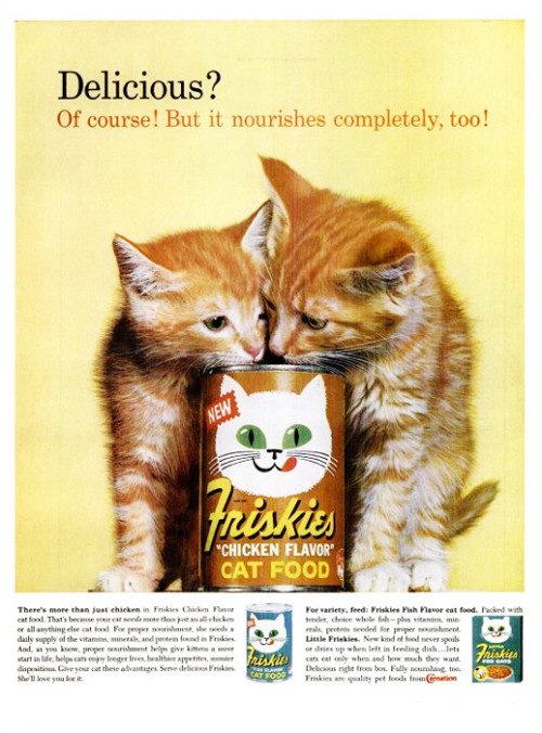 Friskies, 1963