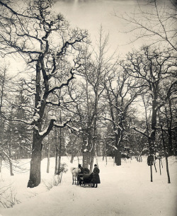 lost-grace:  Djurgården park, Stockholm, Sweden by Swedish National Heritage Board on Flickr. 