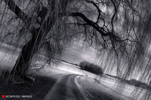 Incredible photo.
reinfriedmarass:
“ Anywhere In Austria
”