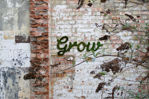 “grow” by anna garforth
–> agarforth.tumblr.com