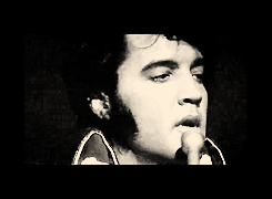 stewheart:  Elvis Aaron Presley - January 8, 1935 – August 16, 1977 