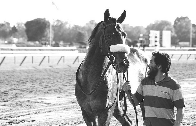 You did it! Colonel John (Tiznow x Sweet Damsel, by Turkoman) eyes the camera after winning the 2008 Travers Stakes.