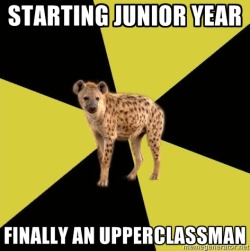 fyeahhighschoolhyena:  [Picture: Background~ a six piece pie  style colour split, alternating      yellow and black. Foreground~ a picture  of a hyena. Top text:  “{Starting junior year}.” Bottom text:   “{Finally an upperclassman}.”] 