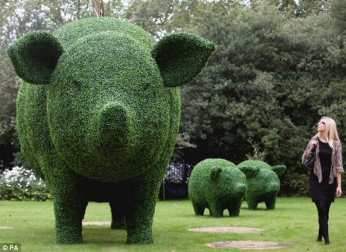 Artificial topiary trees