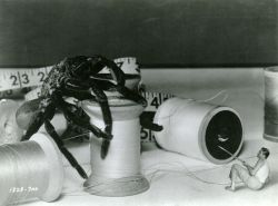 in-diferente:  The Incredible Shrinking Man 
