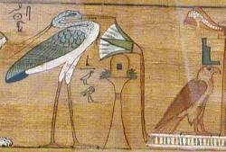 minervadreaming:  “I am the Bennu, the soul of  Ra,  		and the guide of the gods in the Duat. I go in like the Hawk, and I come  		forth like the Bennu, the Morning Star”.