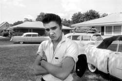 nevver:  “Before Elvis there was nothing.”