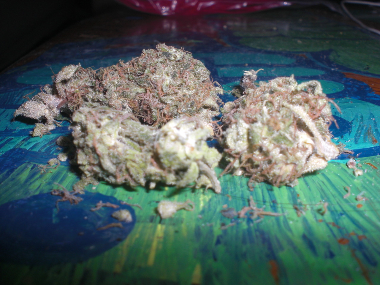 drugsandweed:  white widow 