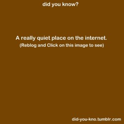 elaine-robinson:  solemnly-swear:  shallowjokesandbrokenthoughts:  survivingoffhope:  (( Is it bad that I cried? I really needed this. Thank you, quiet place. )) Reblogging myself. I still have the tab open. I really needed this. T__T &lt;3 ♥♥♥