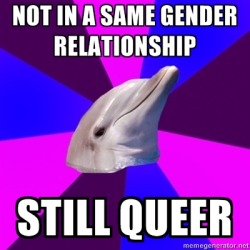 fuckyeahbidolphin:  http://fuckyeahbidolphin.tumblr.com/submit