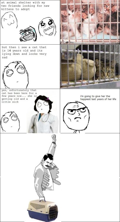 kadardies:When I’m older :’)