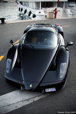 automotivated:  Enzo. (by Damian Morys Foto)