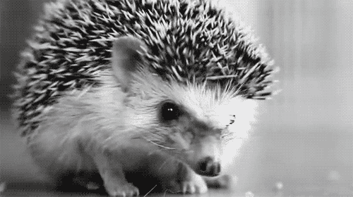 deadly-devotion:  :3 