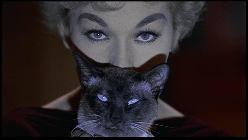 eightmileshigh:  Kim Novak in Bell book and candle 