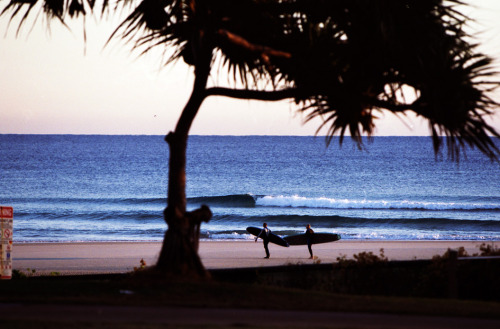 SurfingWayOfLife